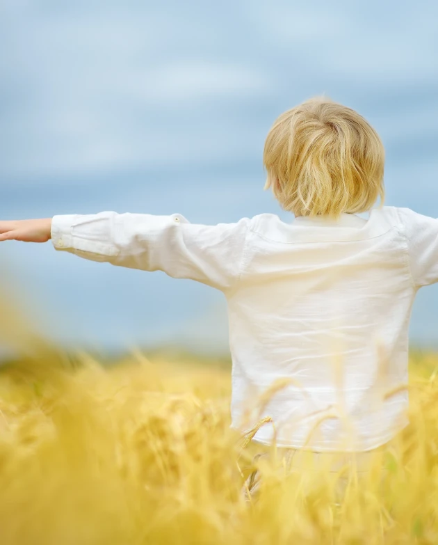 Description par défaut